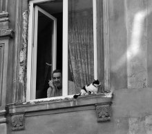 Mensch und Katze / ***