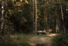 Von einem entfernten Dorf / ***