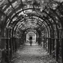 Labyrinthe / ***
