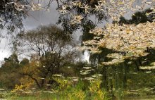Herbst-Panels / _______________