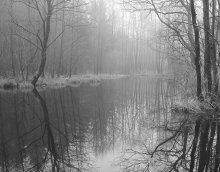 Ruhe / ***