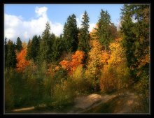Über die Herbst-Saison ... / ***