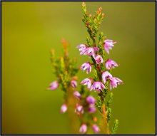 Was ist der Herbst Farbe 8 / ***