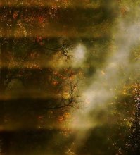 Mystic Herbst / ***