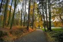 Herbst ........ 3 / ***