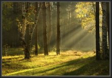 Morgen / ***