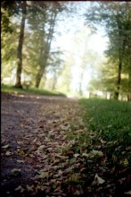 Herbst / ***