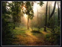 Morgen in der gleichen Gesamtstruktur ... / ***