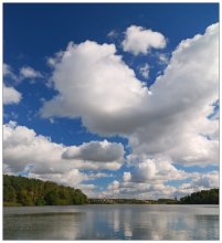 Eine Wolke - Weißsträhnes Pferde / ***