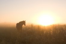 ........... Ein kühler Oktobermorgen .......... / ***