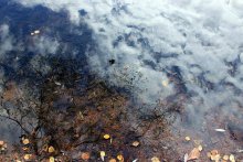 Herbst Flug / ***