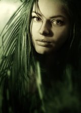 Forest / ***