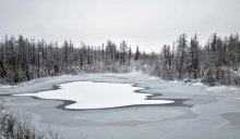 Die ersten Bilder des Winters! / ***