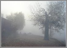 Herbstnebel. / * * *