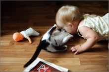 Mila and the Cat / ***