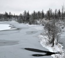 Beginn des Winters / ***