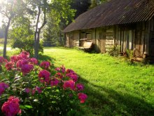 Morgen in das Dorf / ***
