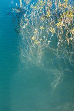 unter Wasser / ***