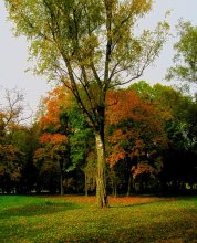 Herbst / *****