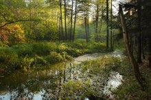 Waldbach / ***