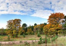 Herbstfarben / ***