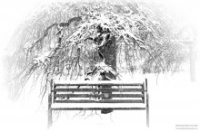Dienstag ist Schneesturm erwartet / ***