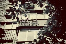 Velo / ***