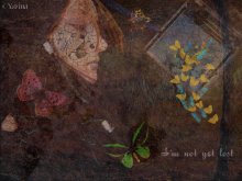 I'm not yet lost / ***