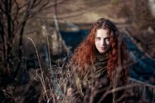 Ginger / ***