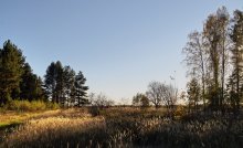 Im Herbst Strahlen der Erwärmung, sanft wiegenden Gras ... / -----
