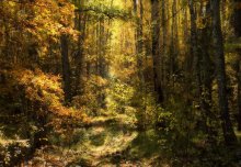 Herbst Kaleidoskop / *****
