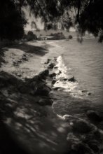 Wild Strand / ***