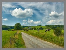 Erinnerungen an den Sommer / ***