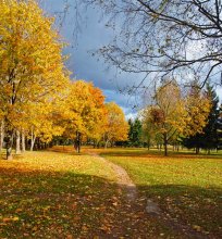 Herbst in der Stadt / ***