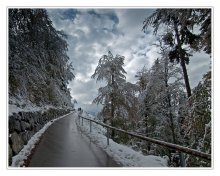 Herbst in den Alpen / ***