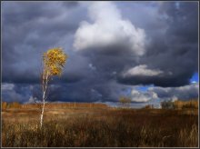 Im vergangenen Herbst Blatt gerupft / *****
