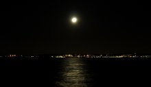 Moon Path. / ***