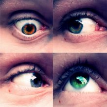 Augen / ***