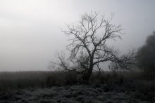 Weisheit / ***