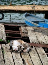 Dream sinnlich:) / ****************