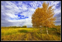 Herbst / .........