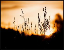 Was ist der Herbst Farbe 14 / ***