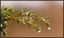 Rief Herbst ... / ***