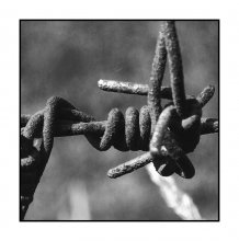 Stachelig / ***
