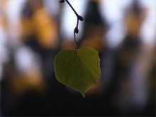 Abschied ... / ***