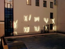 Die Zahlen des Lichts / ***