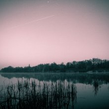 Morgen / ***