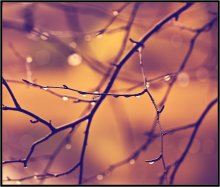 Rief Autumn 3 / ***