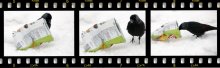 Neugier / 12345676