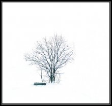 Auf weiß. / ***********